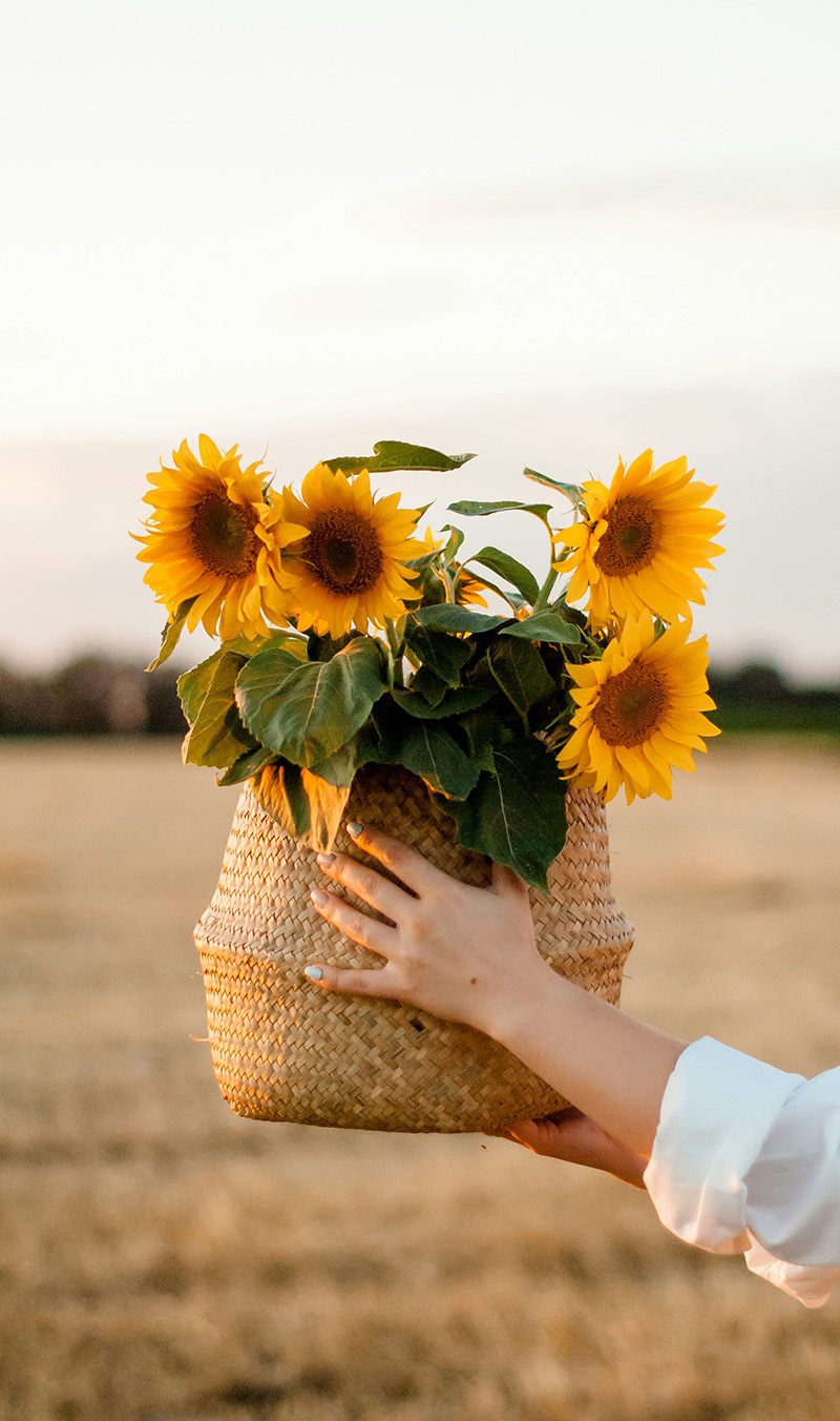 Oh Happy Day - Entspanne und genieße