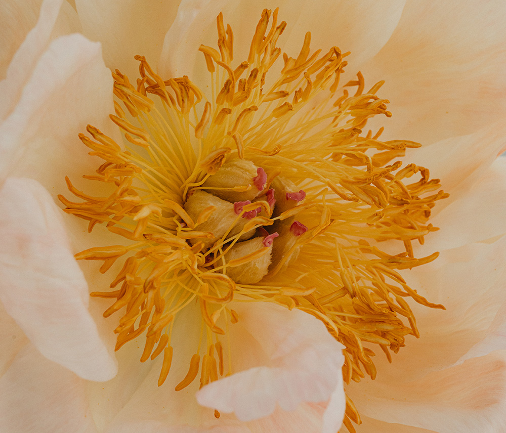 Oh Happy Day - Persönliches Wachstum